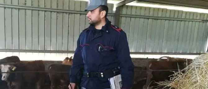 Torano Castello, denunciato il proprietario di un’azienda zootecnica