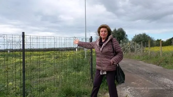 BENI CULTURALI | Parco archeologico Terina, quale futuro?