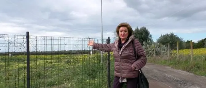 BENI CULTURALI | Parco archeologico Terina, quale futuro?