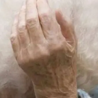 Rapinò un'anziana a Cosenza, arrestato dopo un anno dalla polizia