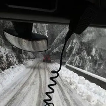 Neve sulle Serre vibonesi, albero danneggia l’Eremo di San Bruno