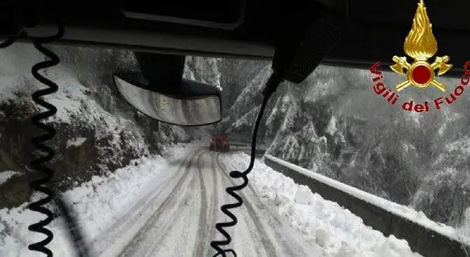 Neve sulle Serre vibonesi, albero danneggia l’Eremo di San Bruno