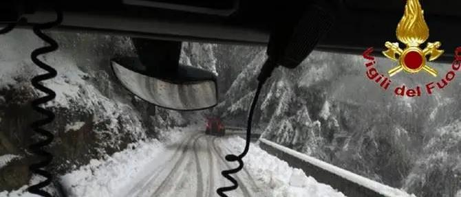Neve sulle Serre vibonesi, albero danneggia l’Eremo di San Bruno