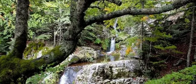 Turismo sostenibile, a Milano presentati i “Cammini di Calabria”