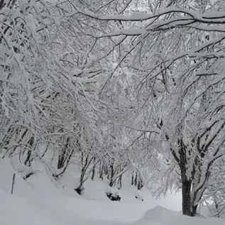 Maltempo, neve e pioggia in Calabria: disagi per la viabilità