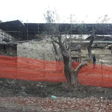 Oriolo, lavori nell'area archeologica senza rispettare le norme: scatta il sequestro (FOTO)