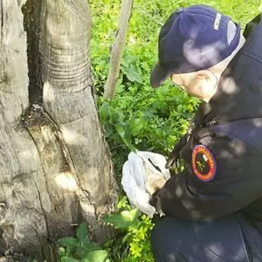 Bomba artigianale rinvenuta in un terreno nella Locride