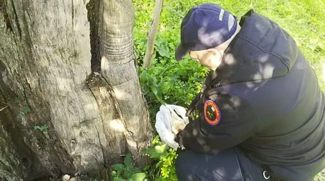 Bomba artigianale rinvenuta in un terreno nella Locride