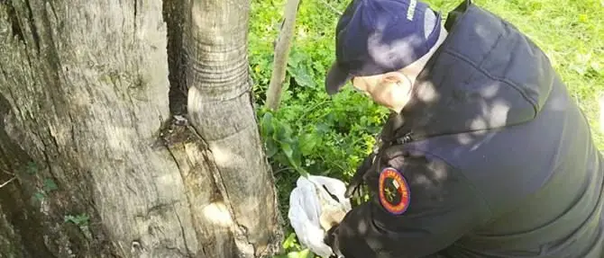 Bomba artigianale rinvenuta in un terreno nella Locride