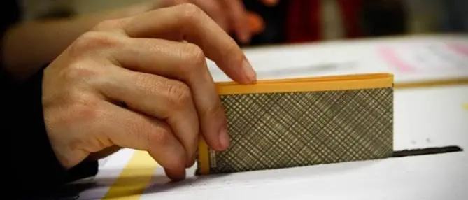 Elezioni, Verdi: «Consentire il voto agli iscritti alle liste anche senza tessera»