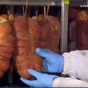 Dalla scelta dei peperoncini alla stagionatura: ecco come nasce la ‘nduja (VIDEO)