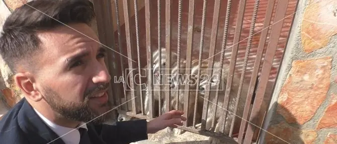 Blitz del deputato Bernini (M5S) al canile di Rocca di Neto