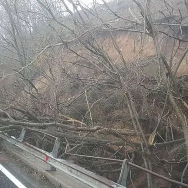 Frana a San Fili, statale 107 riaperta con senso unico alternato