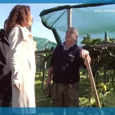 La Via del cedro, dalle origini sacre al territorio (VIDEO)