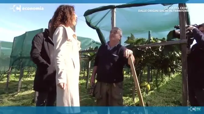 La Via del cedro, dalle origini sacre al territorio (VIDEO)