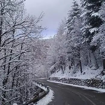 Burian sferza la Calabria: pioggia e neve su tutta la regione