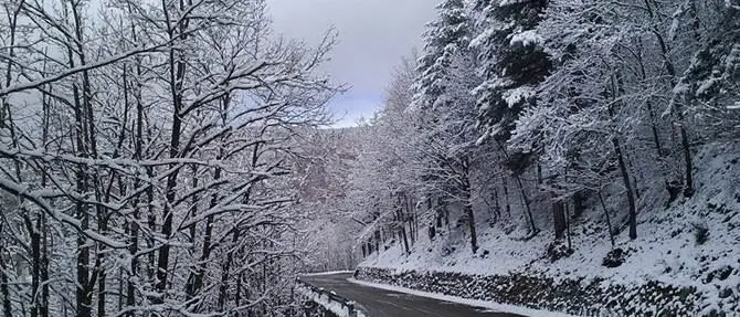 Burian sferza la Calabria: pioggia e neve su tutta la regione