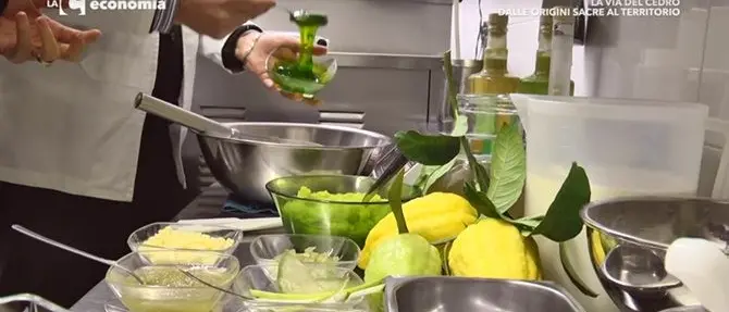 Il cedro di Calabria, eccellenza agroalimentare tra storia, religione e mercato (VIDEO)