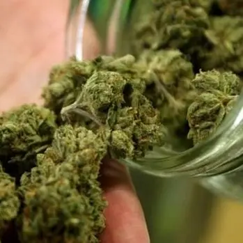 Sorpreso con la marijuana pronta per lo spaccio, arrestato dalla polizia