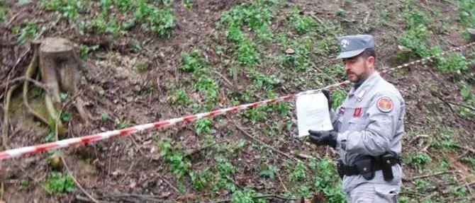 Taglio abusivo, sequestrata area vicina al duomo di Bisignano