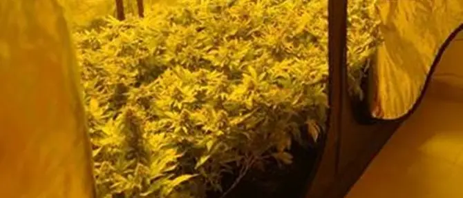 Paola, scoperta un'altra centrale di produzione di droga