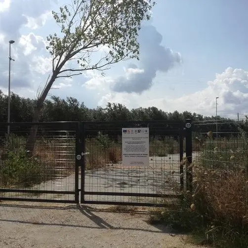 Parco Archeologico Terina mai consegnato dal Mibact al Comune