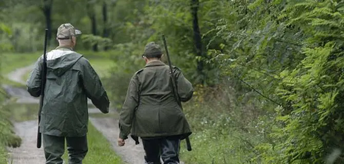 Ambiti territoriali di caccia in Calabria: commissariamento illegittimo