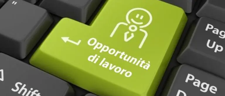 Vibo, il fenomeno “Flashwork”: quando domanda e offerta si incontrano sul web (VIDEO)