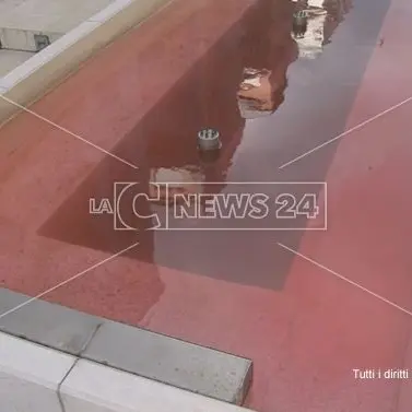 Festa della Donna, a Cosenza fontane rosso sangue e messaggi antiviolenza (VIDEO)