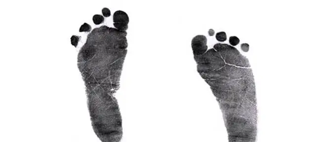 A Cosenza nasce il “Giardino degli angeli”