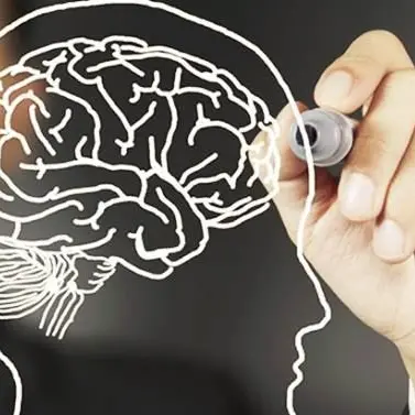 Settimana mondiale del cervello, le iniziative a Lamezia