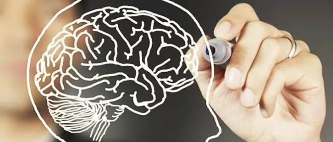 Settimana mondiale del cervello, le iniziative a Lamezia