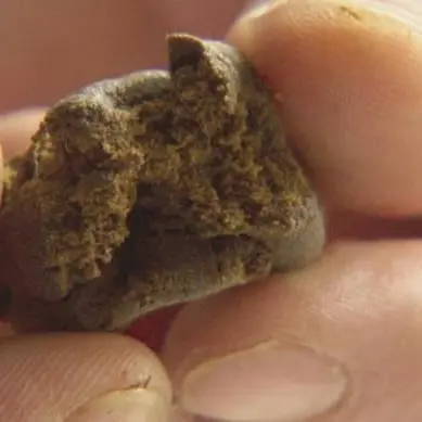 Oltre 10 chili di hashish nel soggiorno, in manette madre e figlio