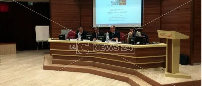 Boom di adesioni per Resto al Sud: presentate 7mila domande (VIDEO)