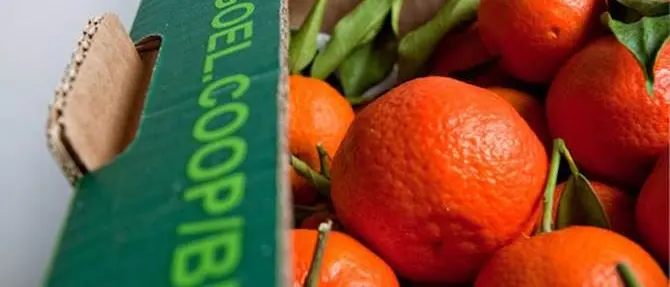 Siderno, all'insegna dell'economia sostenibile: nasce “Villaggio Goel”