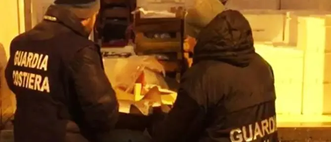 Pesca a Villa San Giovanni, sanzioni per oltre 27mila euro