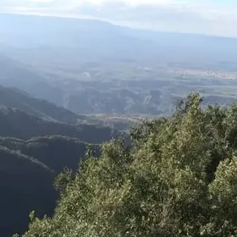 Simone Canale, il pentito che fa tremare il clan Alvaro (VIDEO)