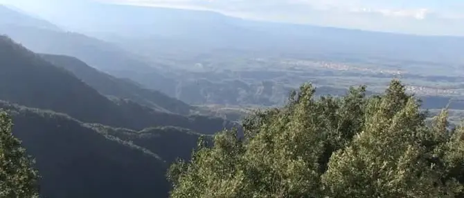 Simone Canale, il pentito che fa tremare il clan Alvaro (VIDEO)