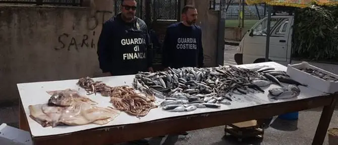 Reggio, in cattivo stato di conservazione: sequestrato oltre un quintale di prodotti ittici