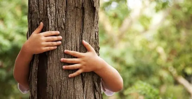 Un albero per ogni nuovo nato, l’iniziativa a Mormanno