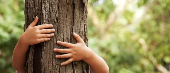Un albero per ogni nuovo nato, l’iniziativa a Mormanno
