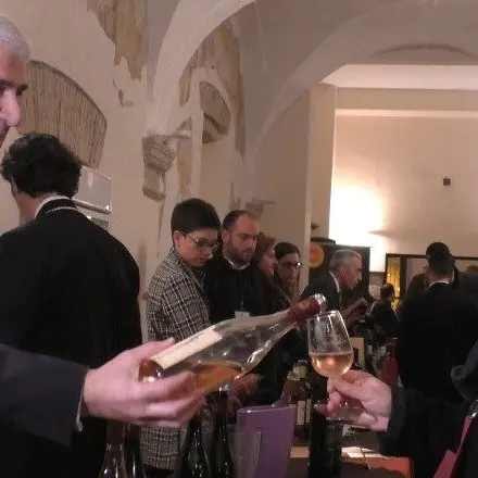 Lamezia Wine Fest, successo per l'evento enologico che ha ospitato cantine da tutta la Calabria (VIDEO)