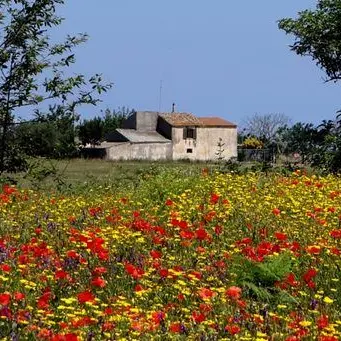 La primavera calabrese in versi nella giornata mondiale della poesia