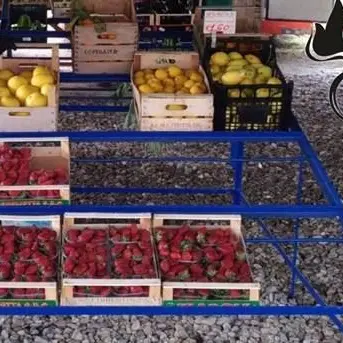 Multa da 6mila euro per un fruttivendolo abusivo di Pizzo