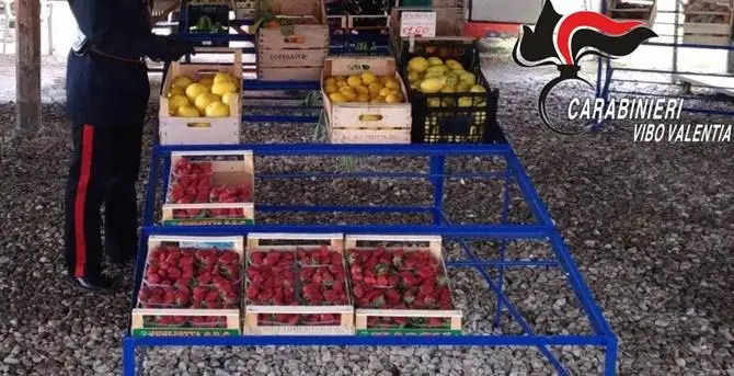 Multa da 6mila euro per un fruttivendolo abusivo di Pizzo