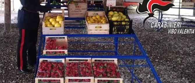Multa da 6mila euro per un fruttivendolo abusivo di Pizzo