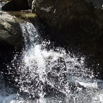 Chiare, fresche e dolci acque… di Calabria: la nuova puntata di LaC Economia (VIDEO)