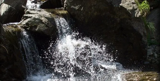 Chiare, fresche e dolci acque… di Calabria: la nuova puntata di LaC Economia (VIDEO)