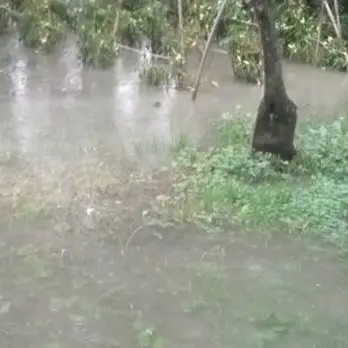 Maltempo, danni per cinque milioni all’agricoltura in Calabria