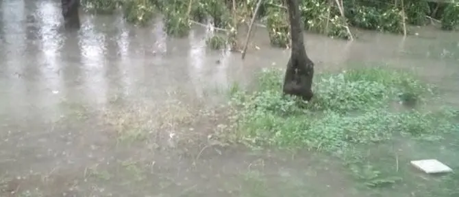 Maltempo, danni per cinque milioni all’agricoltura in Calabria